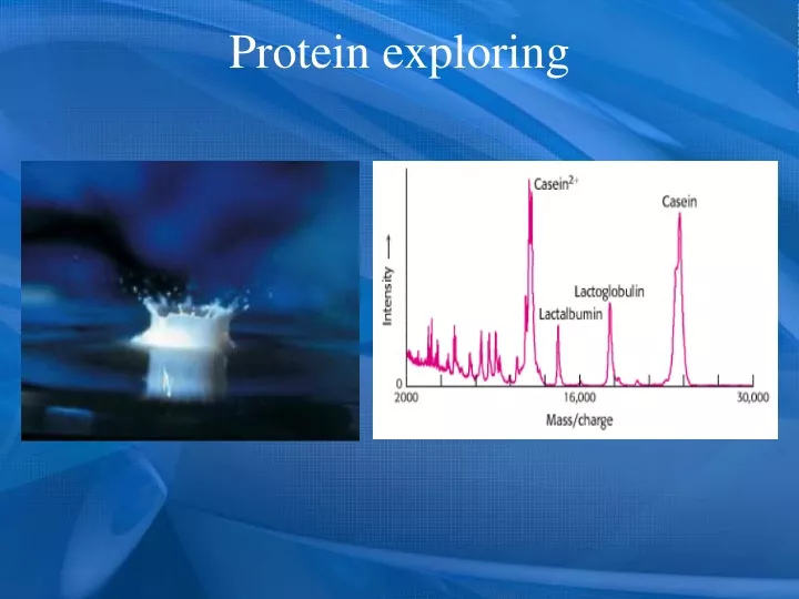 protein exploring