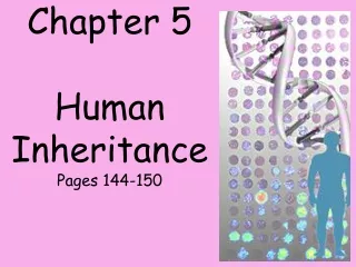 Chapter 5  Human Inheritance Pages 144-150