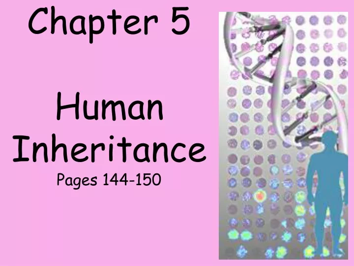 chapter 5 human inheritance pages 144 150