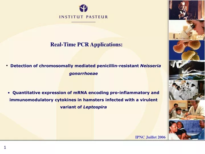 real time pcr applications