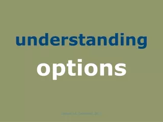 understanding options