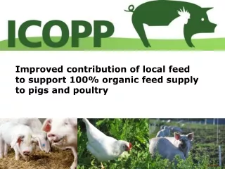 Improved contribution of local feed to support 100% organic feed supply to pigs and poultry