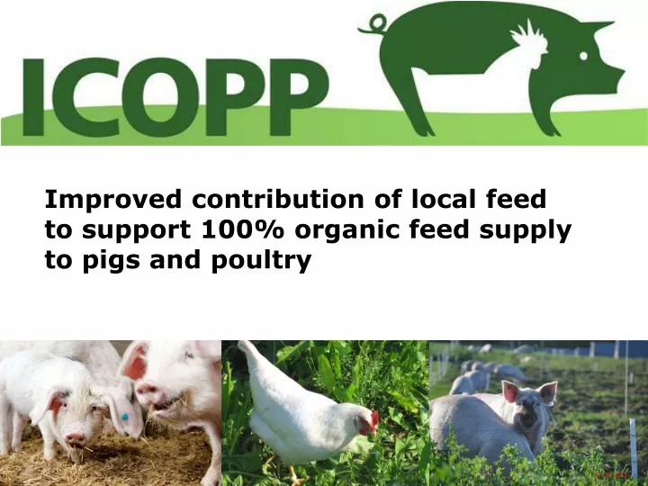 improved contribution of local feed to support 100 organic feed supply to pigs and poultry