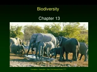 Biodiversity