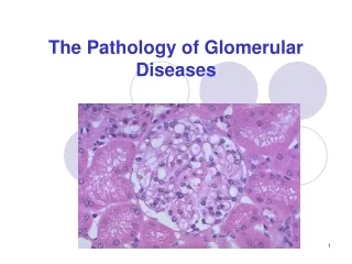 The Pathology of Glomerular Diseases