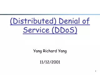 (Distributed) Denial of Service (DDoS)