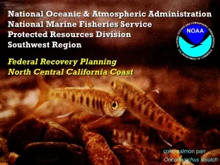 National Oceanic &amp; Atmospheric Administration National Marine Fisheries Service