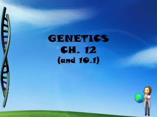 GENETICS CH. 12 (and 10.1)