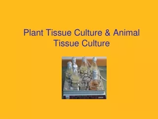 Plant Tissue Culture &amp; Animal Tissue Culture