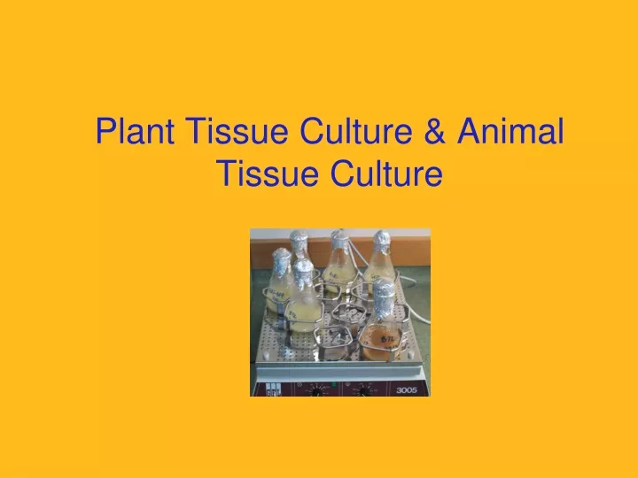 plant tissue culture animal tissue culture