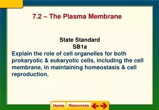 7.2 – The Plasma Membrane