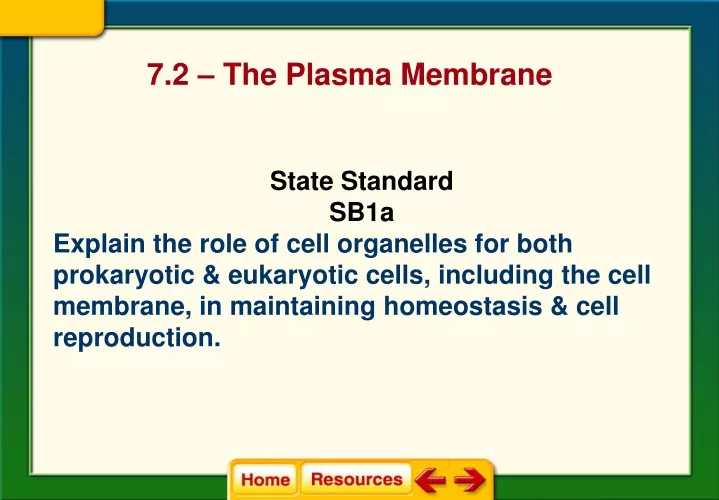 7 2 the plasma membrane