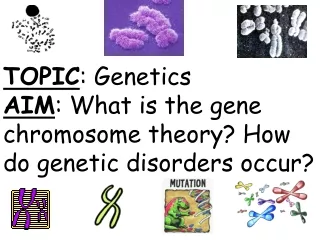 TOPIC : Genetics AIM : What is the gene chromosome theory? How do genetic disorders occur?