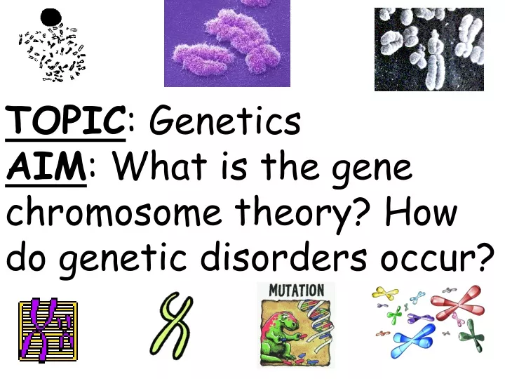 topic genetics aim what is the gene chromosome theory how do genetic disorders occur