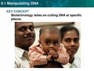 KEY CONCEPT  Biotechnology relies on cutting DNA at specific places.