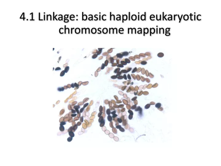 4 1 linkage basic haploid eukaryotic chromosome