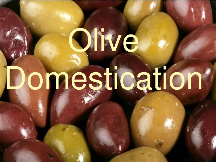 olive domestication