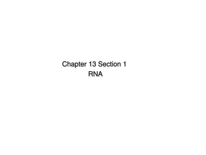 chapter 13 section 1 rna