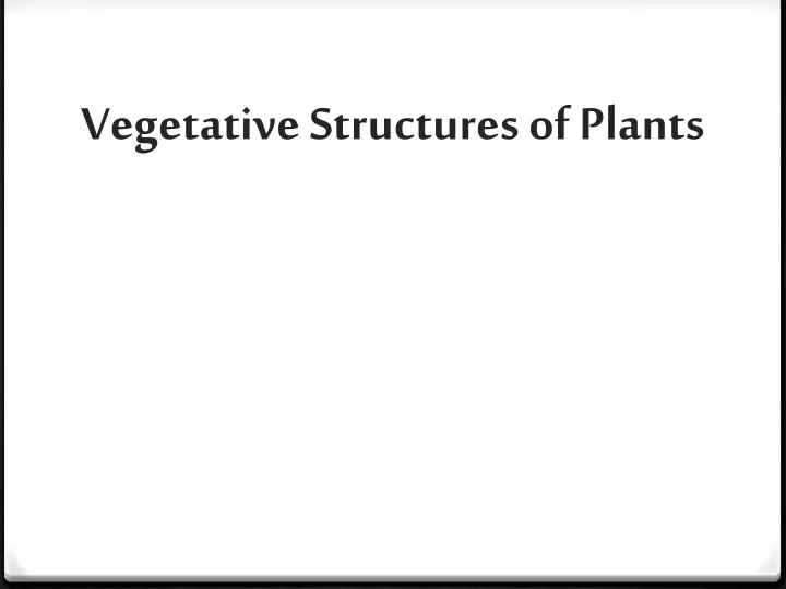 vegetative structures of plants
