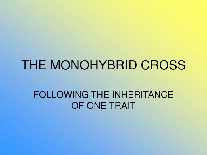 the monohybrid cross