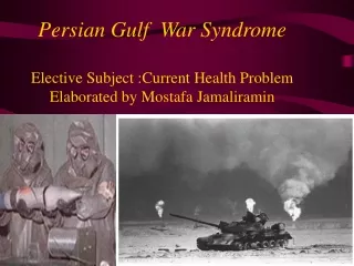 What is Gulf war syndrome?
