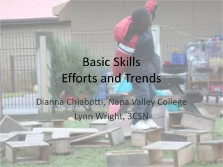 Basic Skills  Efforts and Trends