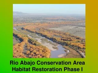 Rio Abajo Conservation Area Habitat Restoration Phase I