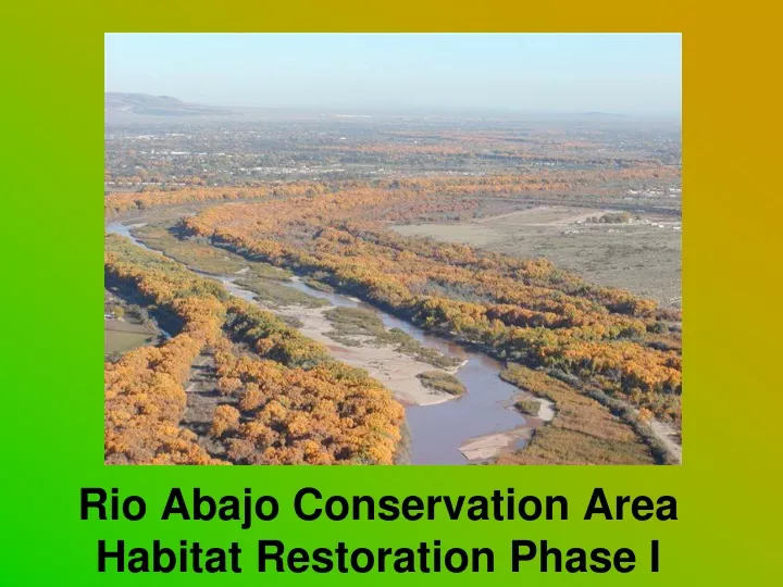 rio abajo conservation area habitat restoration phase i