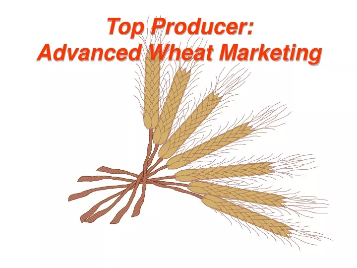 top producer advanced wheat marketing