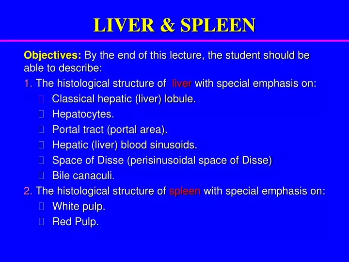 liver spleen