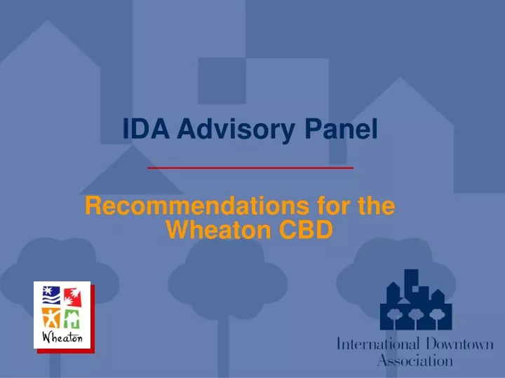 ida advisory panel