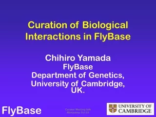 Curation of Biological Interactions in FlyBase