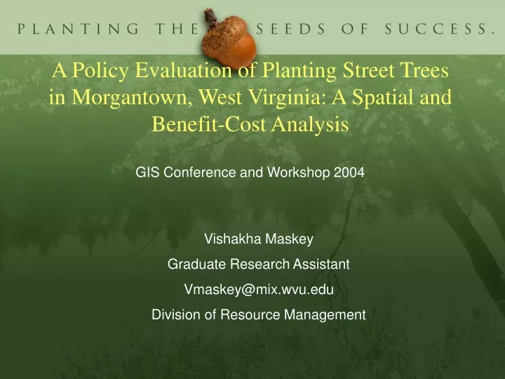a policy evaluation of planting street trees