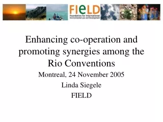 Enhancing co-operation and promoting synergies among the Rio Conventions