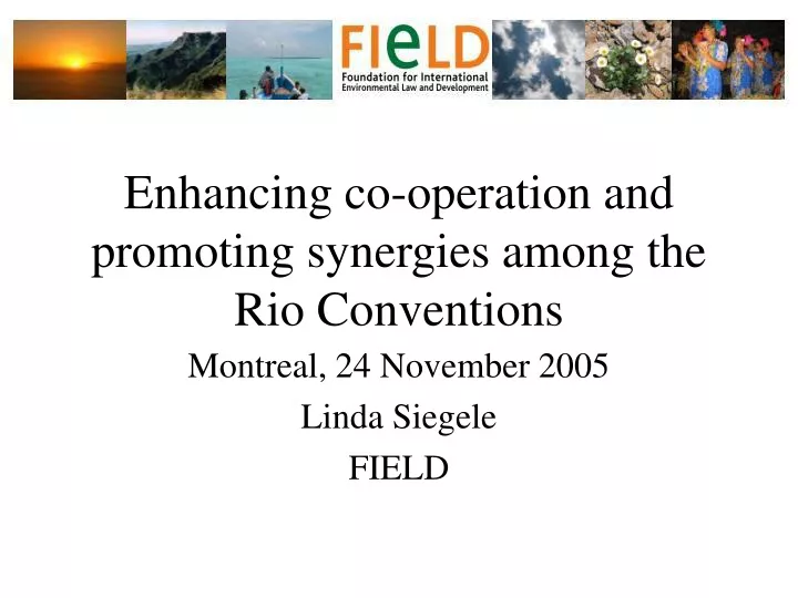 enhancing co operation and promoting synergies among the rio conventions