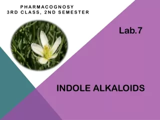 Indole Alkaloids