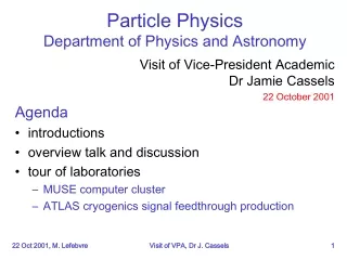 Particle Physics Department of Physics and Astronomy