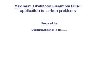 Maximum Likelihood Ensemble Filter: application to carbon problems