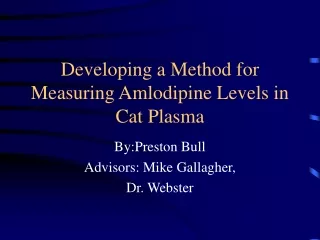 Developing a Method for Measuring Amlodipine Levels in Cat Plasma