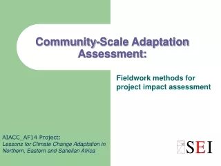 Community-Scale Adaptation Assessment: