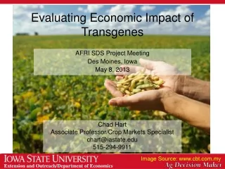 Evaluating Economic Impact of Transgenes