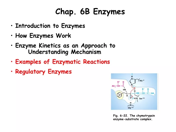 chap 6b enzymes