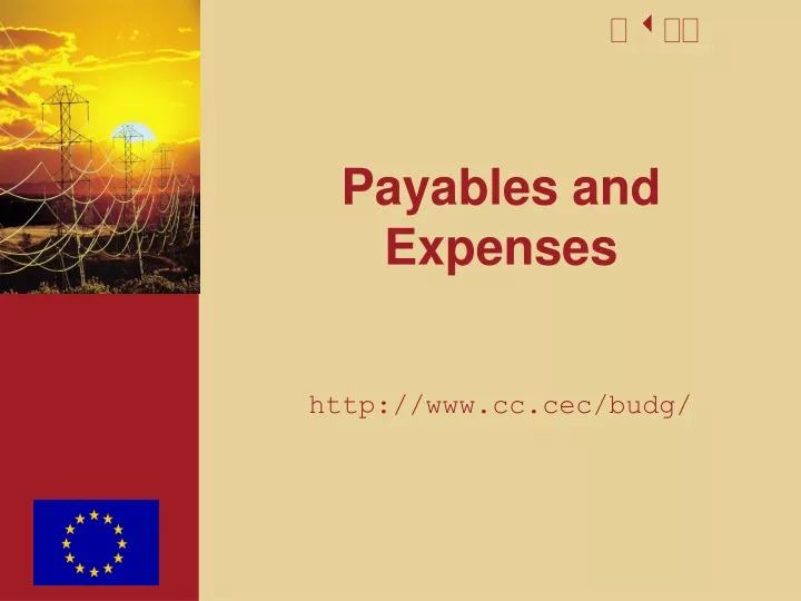 payables and expenses