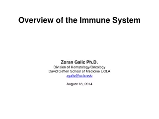 Overview of the Immune System Zoran Galic Ph.D . Division of Hematology/Oncology