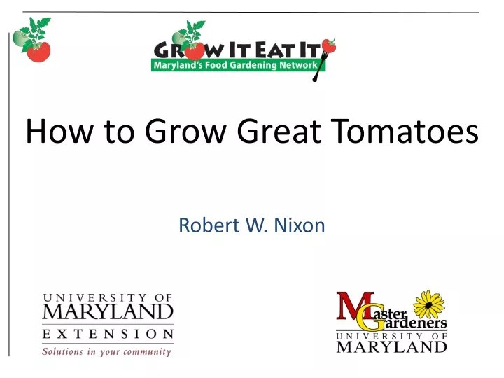 how to grow great tomatoes