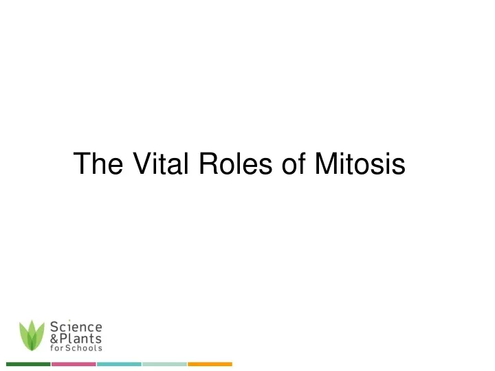 the vital roles of mitosis