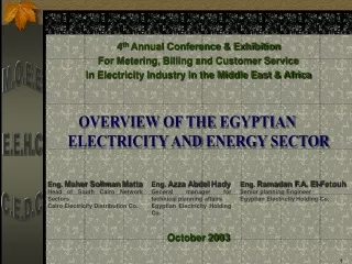 OVERVIEW OF THE EGYPTIAN    ELECTRICITY AND ENERGY SECTOR