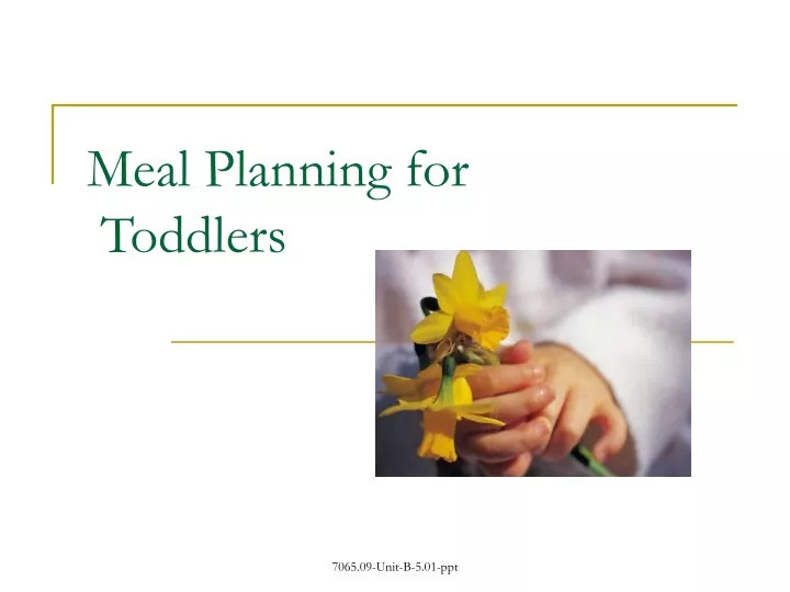 meal planning for toddlers