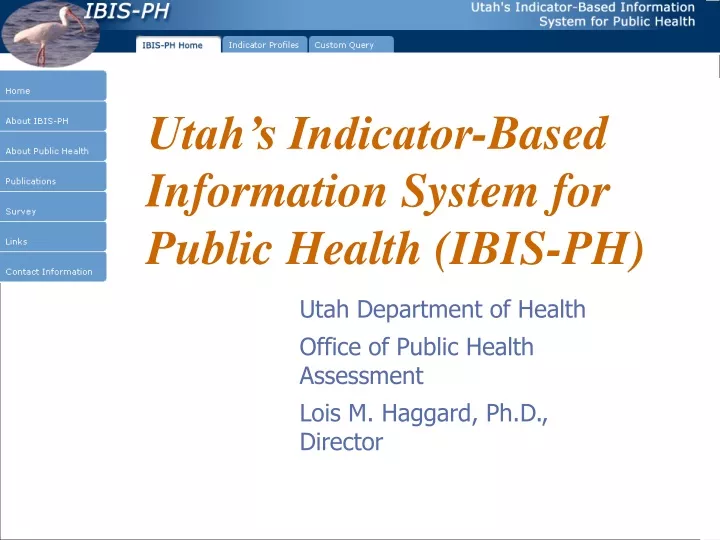 utah s indicator based information system for public health ibis ph