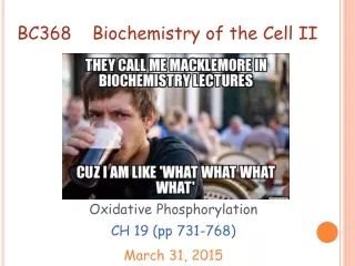 Oxidative Phosphorylation  CH 19 (pp 731-768)  March 31, 2015